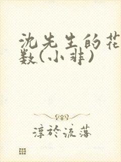 沈先生的花式调数(小非)