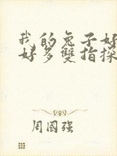 我的兔子好软水好多双指探洞小说封面