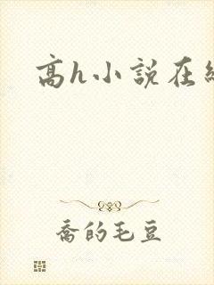 高h小说在线看