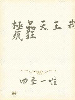 极品天王 我本疯狂