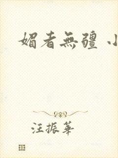 媚者无疆 小说