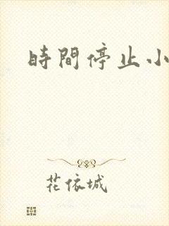 时间停止小说