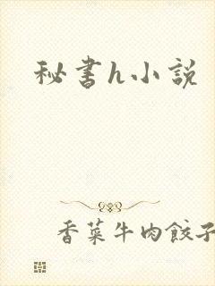 秘书h小说封面