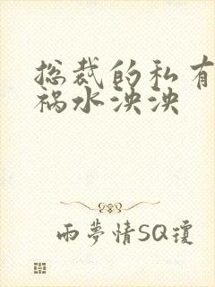 总裁的私有宝贝祸水泱泱