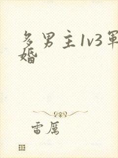 多男主1v3军婚封面