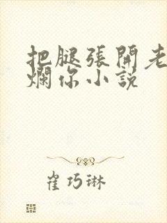 把腿张开老子臊烂你小说封面