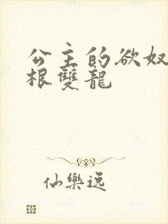 公主的欲奴h四根双龙