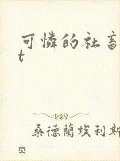 可怜的社畜txt封面