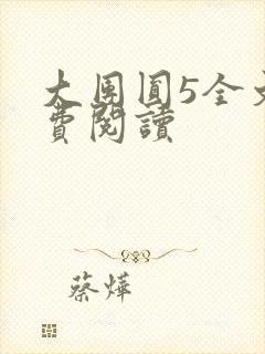 大团圆5全文免费阅读封面