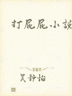 打屁屁小说