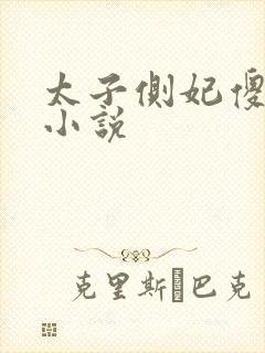 太子侧妃傻乎乎小说