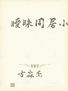 暧昧同居小说