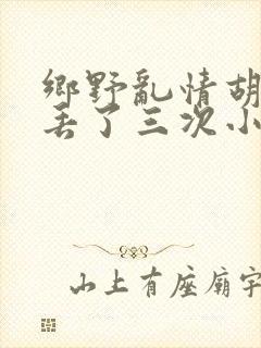 乡野乱情胡秀英丢了三次小说
