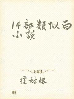 14部类似白洁小说封面