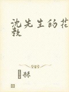 沈先生的花式调教封面