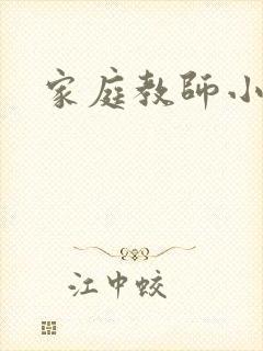 家庭教师小说