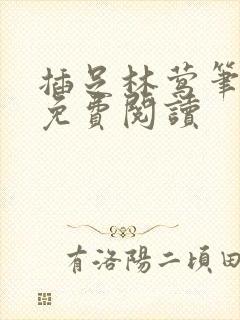 插足林莺笔趣阁免费阅读