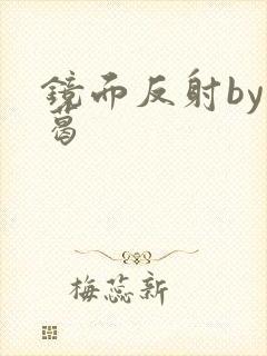 镜面反射by九葛