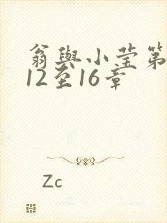 翁与小莹第十部12至16章封面