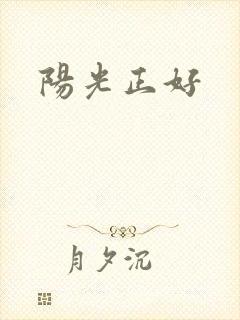 阳光正好封面