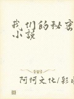 我们的秘密泰剧小说