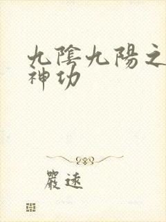 九阴九阳之阴阳神功封面