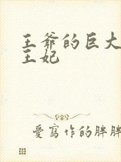 王爷的巨大进入王妃封面