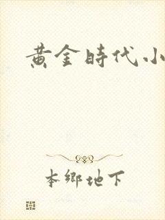 黄金时代小说封面