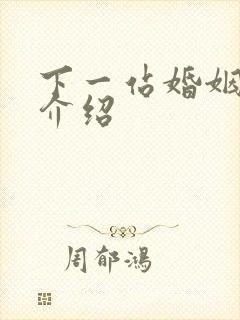 下一站婚姻剧情介绍