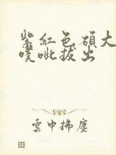 紫红色硕大噗呲噗呲拔出封面