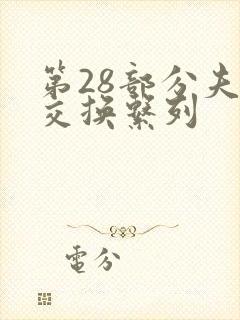 第28部分夫妇交换系列封面