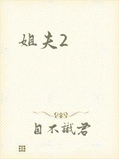 姐夫2