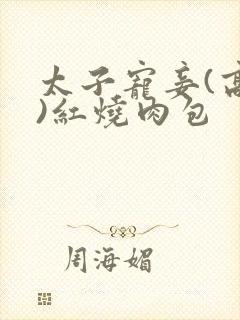 太子宠妾(高肉)红烧肉包