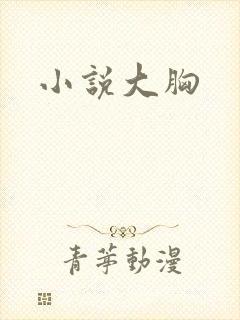 小说大胸