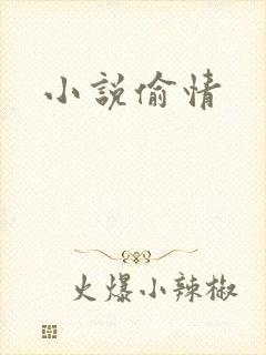 小说偷情