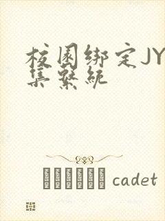 校园绑定JY收集系统封面