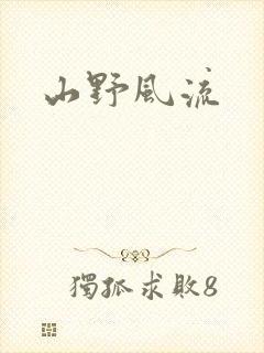 山野风流封面