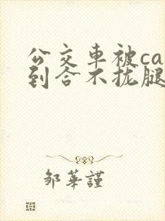 公交车被cao到合不拢腿视频
