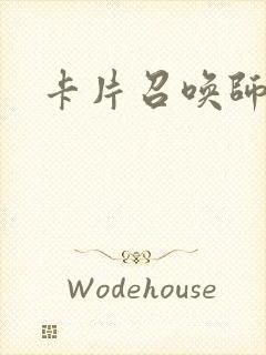 卡片召唤师