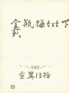 金瓶梅txt下载