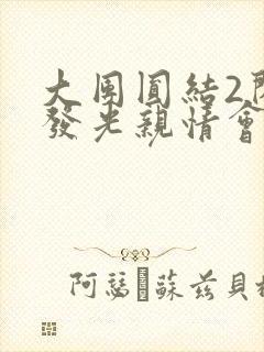 大团圆结2闪闪发光亲情会