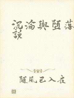 沉沦与堕落的小说