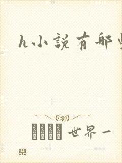 h小说有哪些