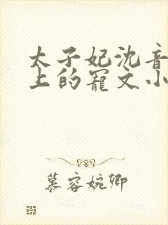 太子妃沈音和皇上的宠文小说