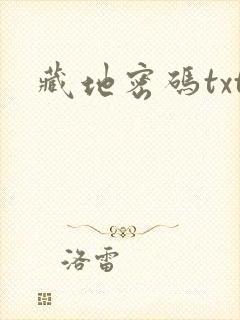 藏地密码txt封面