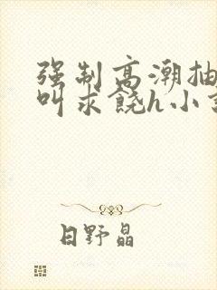 强制高潮抽搐哭叫求饶h小说
