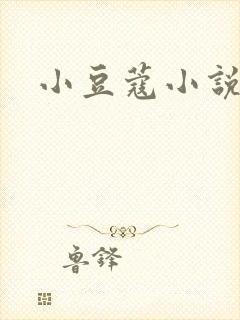 小豆蔻小说封面