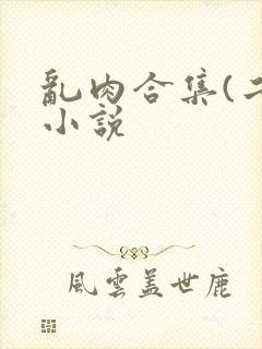 乱肉合集(二)小说