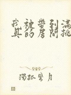 我被带到满是玩具的房间挑调游戏