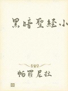 黑暗圣经小说